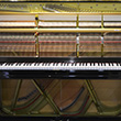 aace8048b1fe.jpg