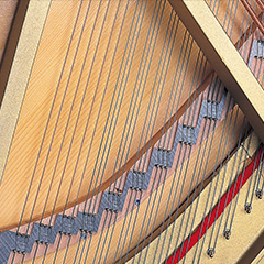 f84e78c5aabb.jpg